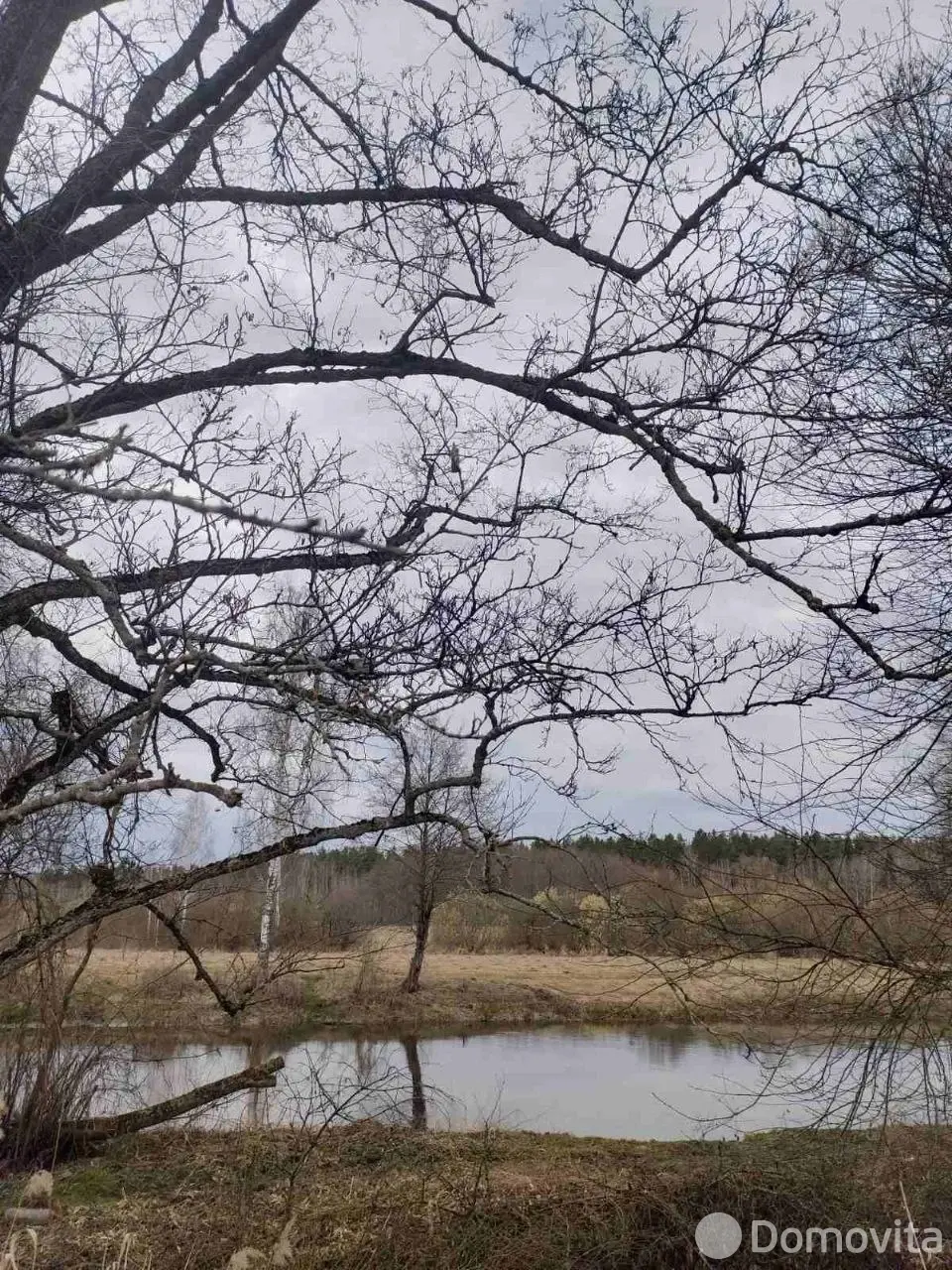 купить дом, Турин, ул. Центральная