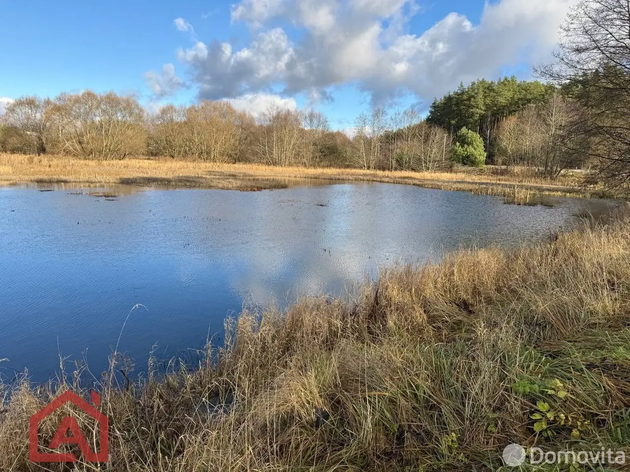 Купить земельный участок, 25 соток, Приселки, Минская область, 33000USD, код 571253 - фото 31