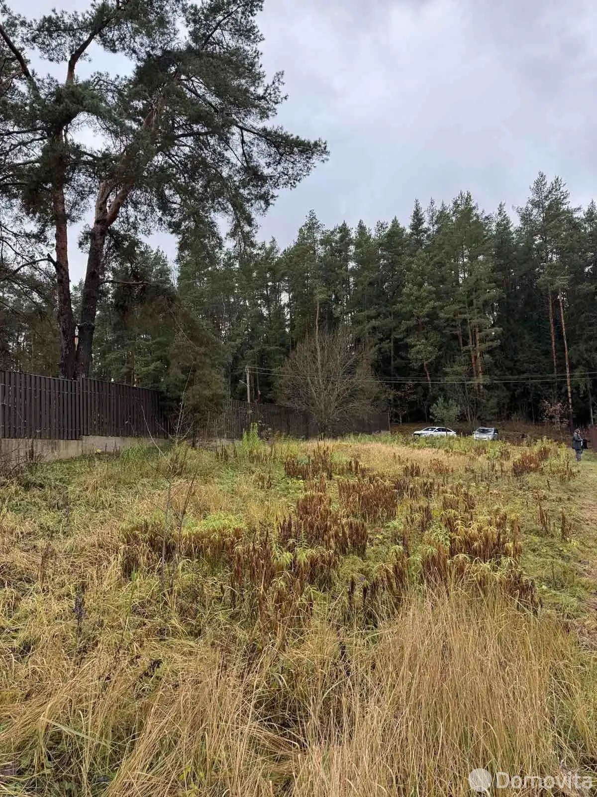 участок, ПРАЛЕСАК,