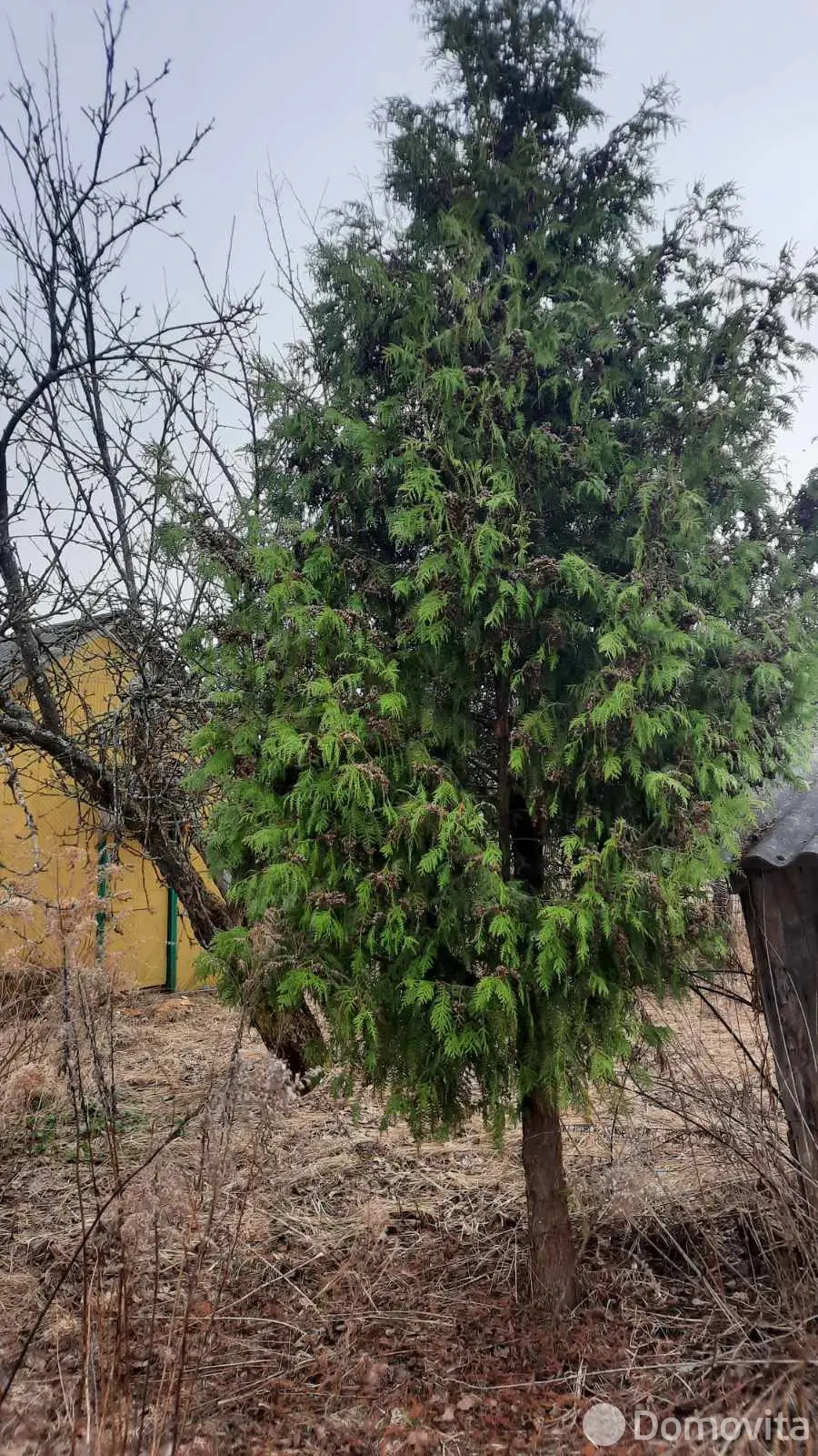 участок, Городняны, пер. Горный, д. 7 