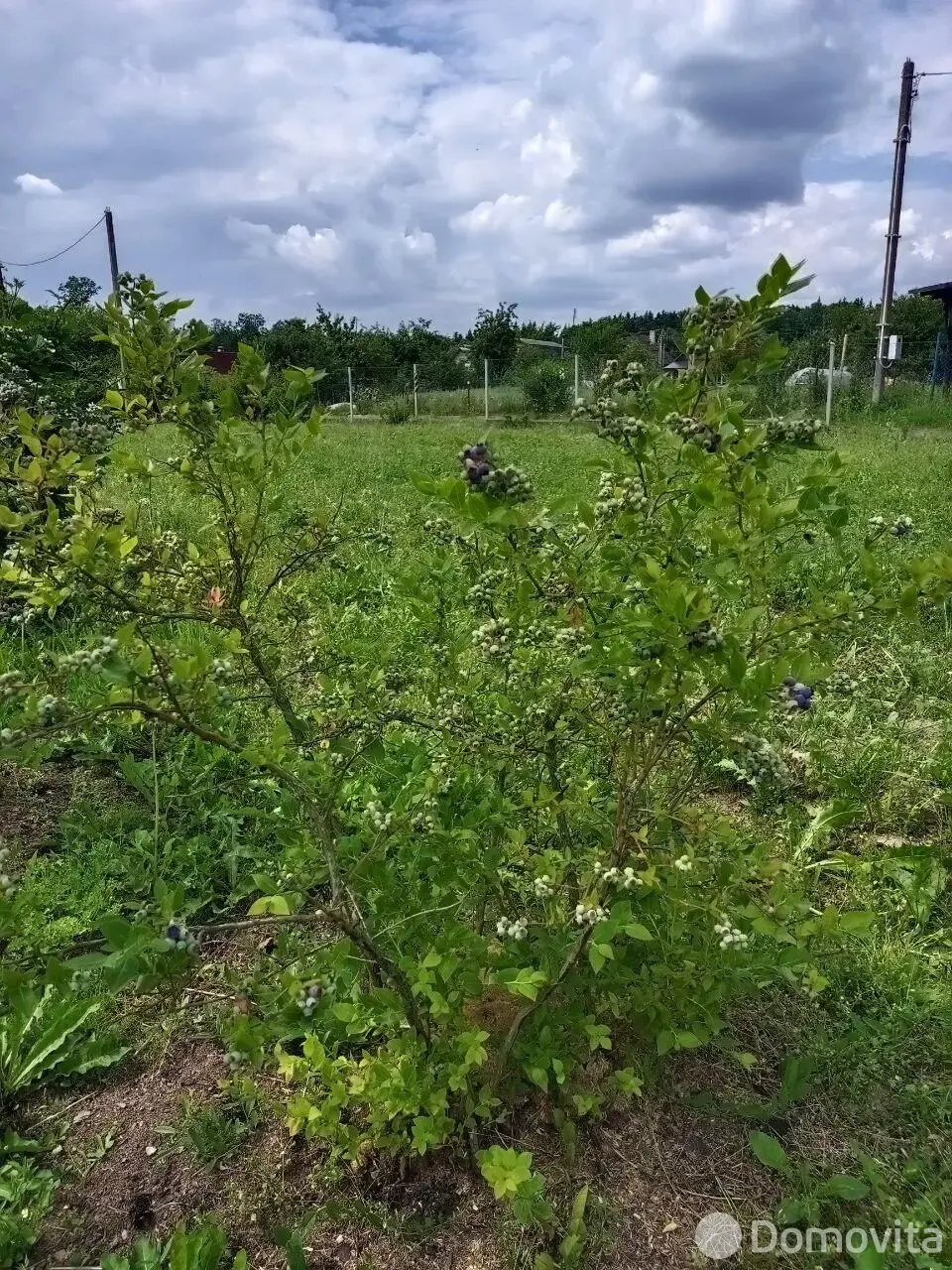Цена продажи участка, Голубые пруды, 