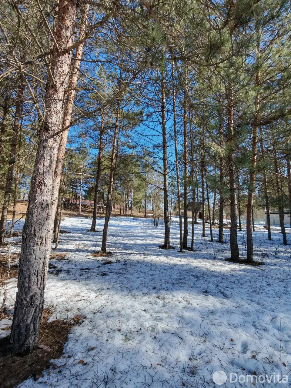 Цена продажи участка, Вишневый сад Витебского района, 