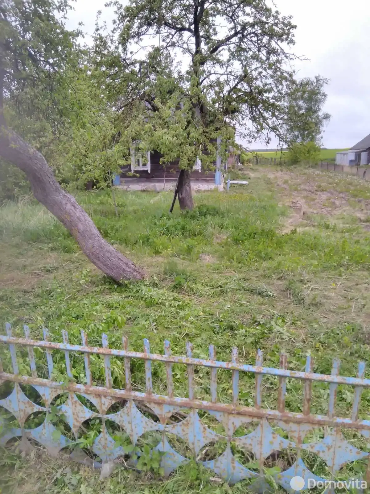 дом, Великая Липа, ул. Фрунзе от собственника
