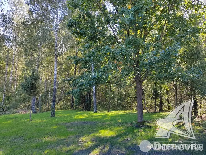 Продажа 1-этажной дачи в Марьина роща Брестская область, 79000USD, код 184284 - фото 36