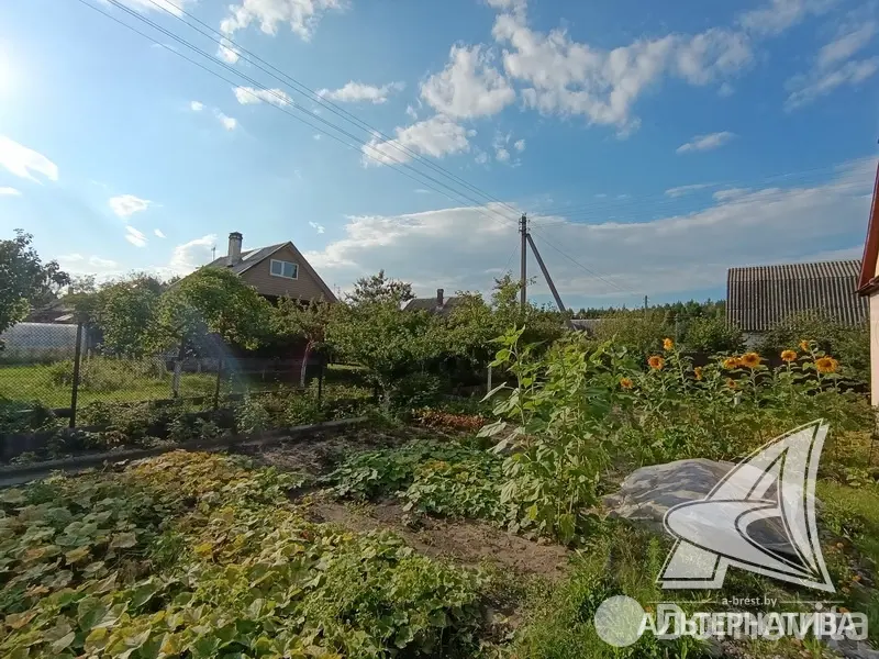 Продажа 1-этажной дачи в Факел Брестгазоаппарат Брестская область, 17000USD, код 183689 - фото 20