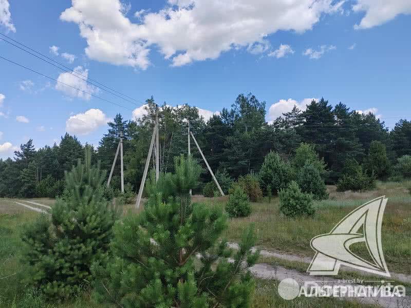 Купить земельный участок, 6.6 соток, Ландыш-Мухавецкий, Брестская область, 12000USD, код 568722 - фото 12