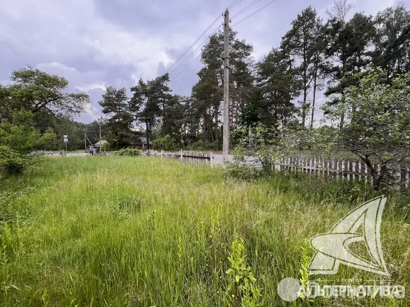 Купить земельный участок, 25 соток, Гули, Брестская область, 44000USD, код 570142 - фото 11