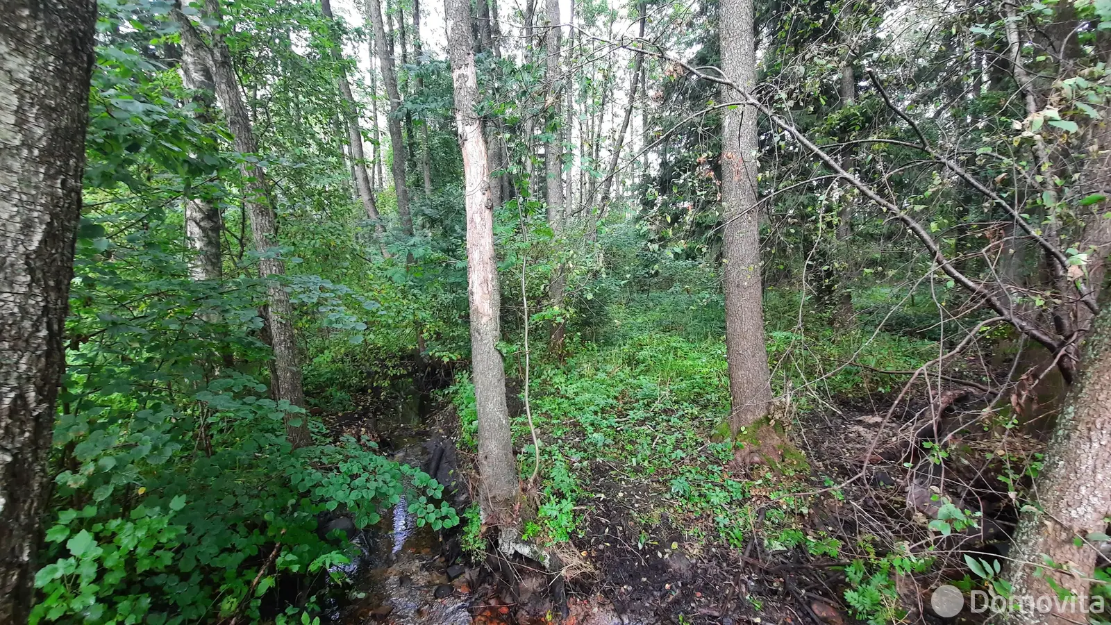 Купить 1-этажную дачу в Литейщик Минская область, 12500USD, код 183026 - фото 15