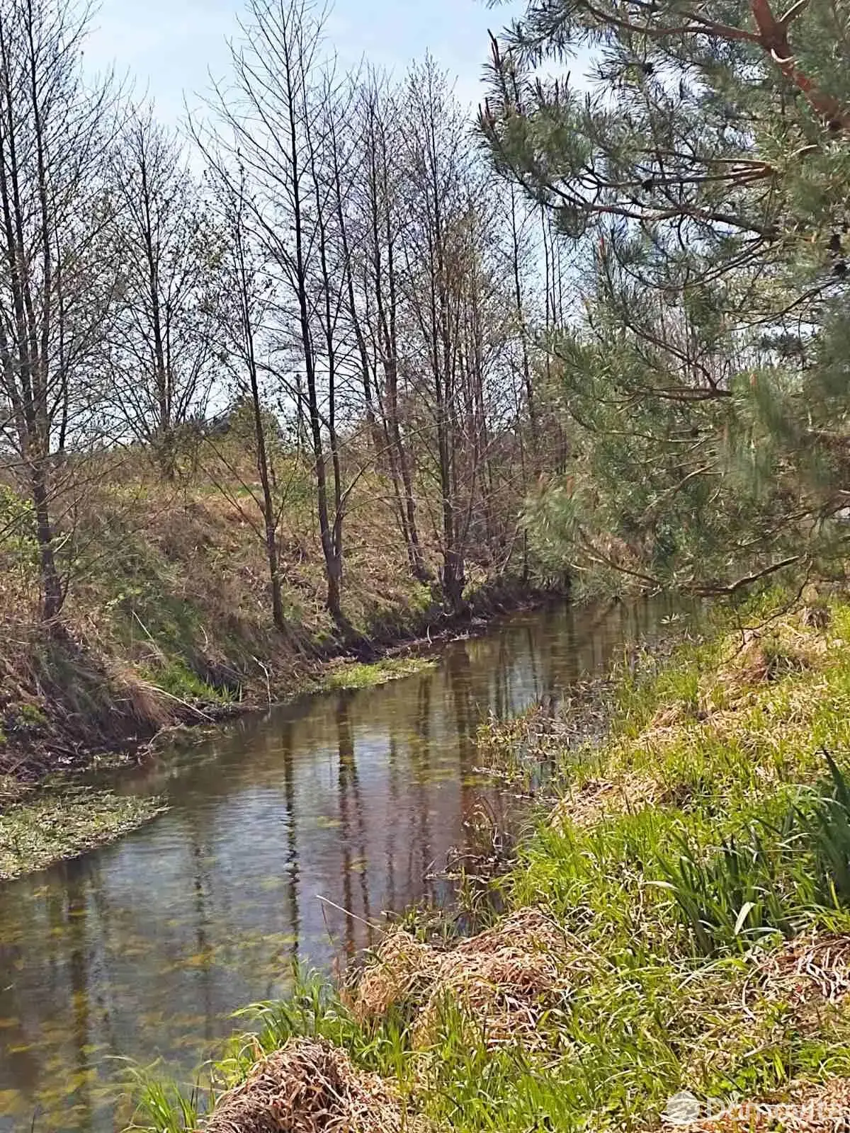 дом, Большие Сонтаки, 