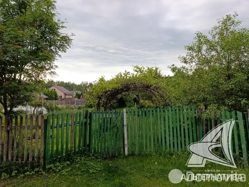 участок, Меркурий ТПП,