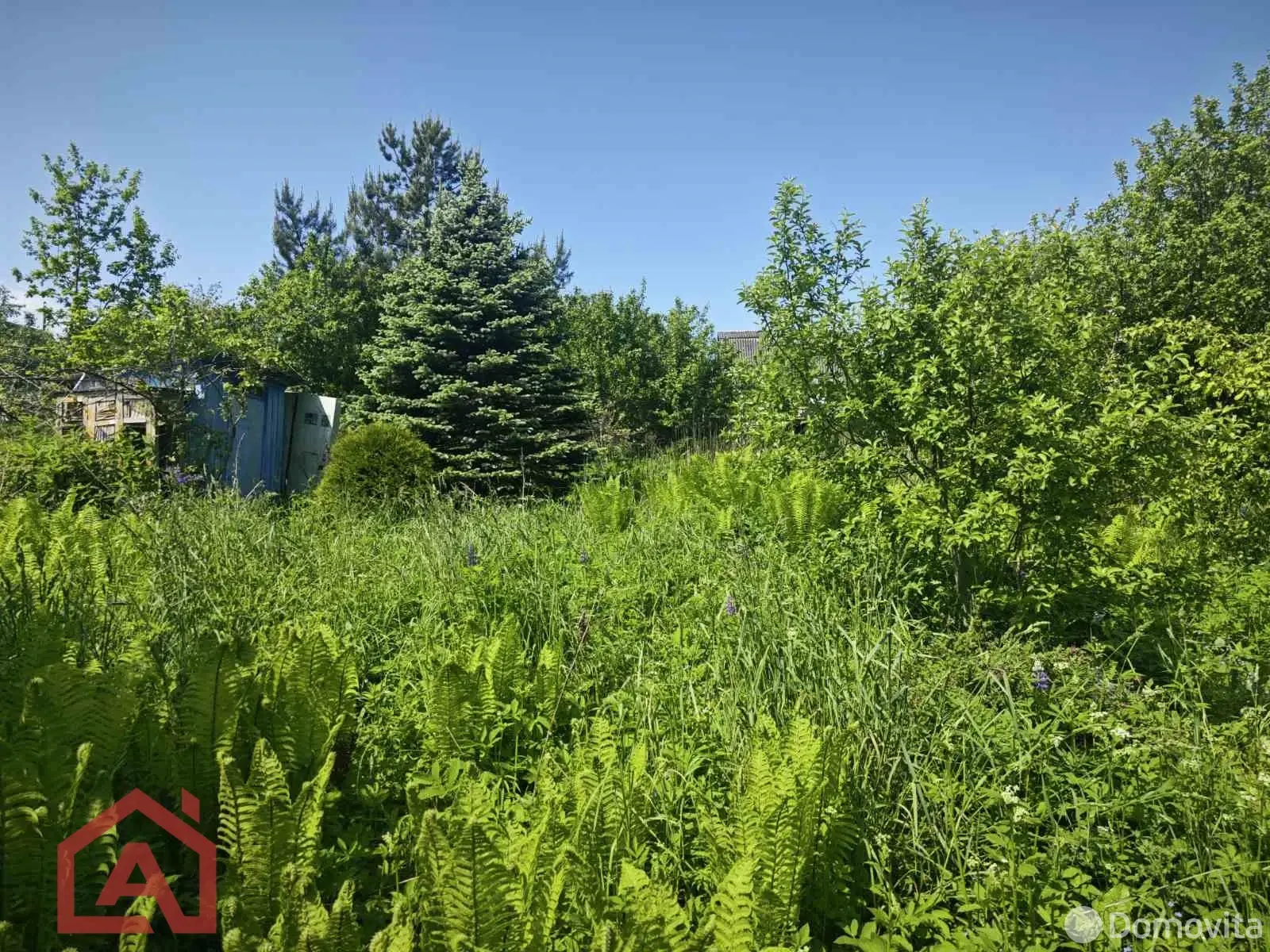 участок, Поляна, 