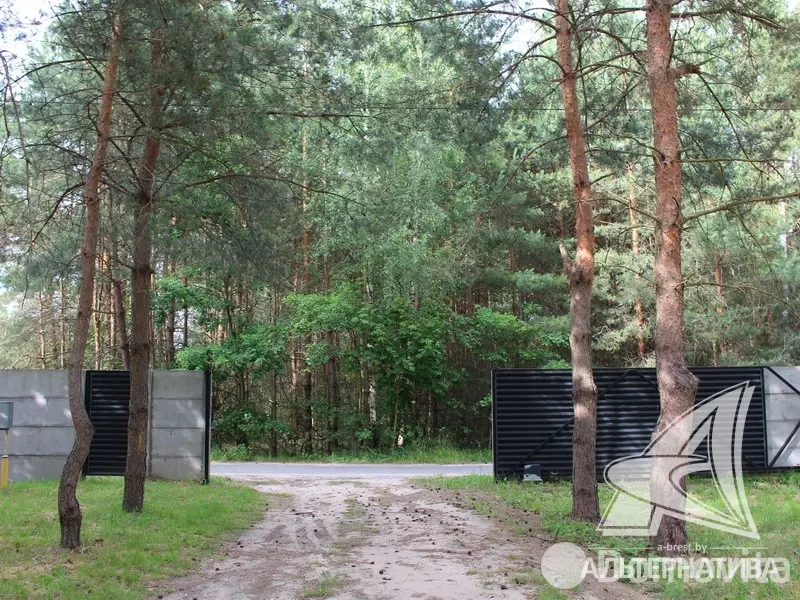 Купить 1-этажную дачу в Амарилис-92 Брестская область, 119000USD, код 177507 - фото 21