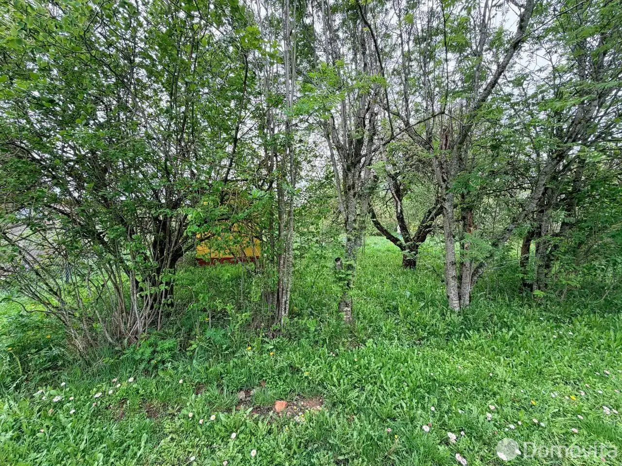 Купить земельный участок, 8.2 соток, Утес, Минская область, 12390BYN, код 571970 - фото 2