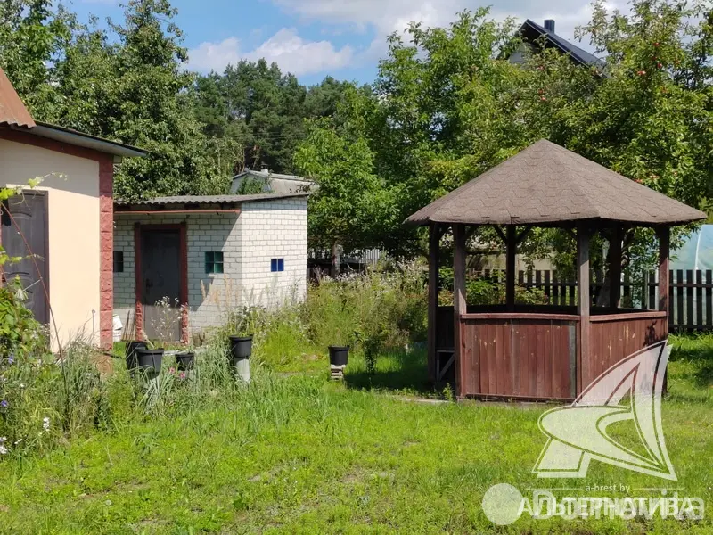 Продажа 1-этажной дачи в Ивушка-91 Брестская область, 29900USD, код 183592 - фото 13