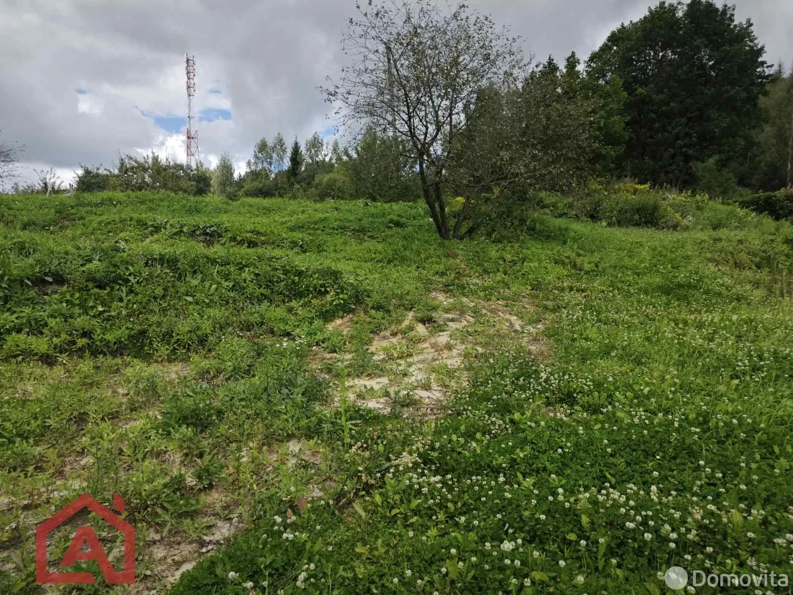 участок, Мончаки, ул. Центральная, д. 39 