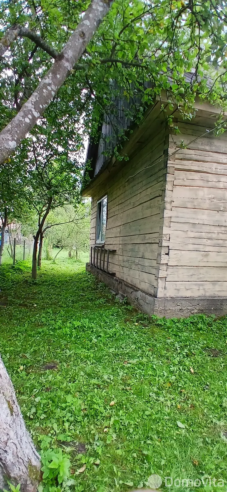 дача, Минута, 