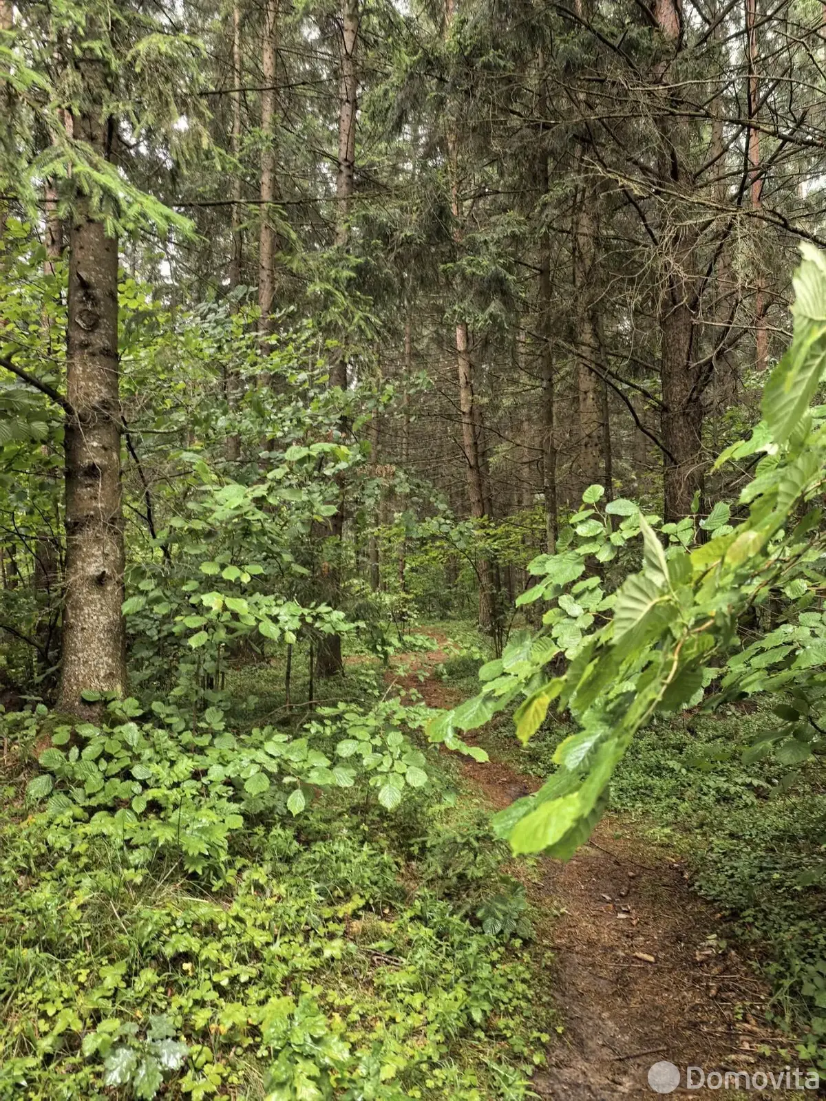 Купить 1-этажную дачу в Черемушки-Люкс Минская область, 160000BYN, код 186457 - фото 33