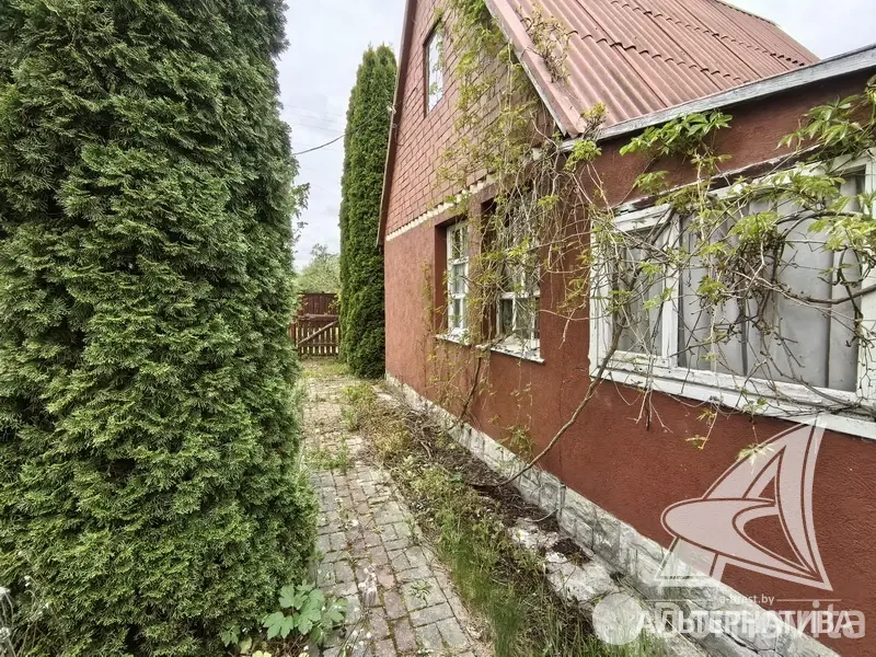 Купить 1-этажную дачу в Суница-80 Брестская область, 83720BYN, код 185703 - фото 17