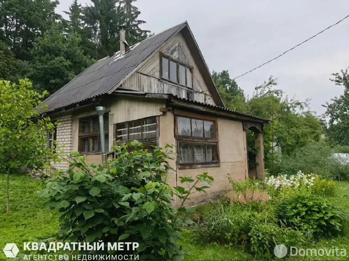 дача, Ель, 