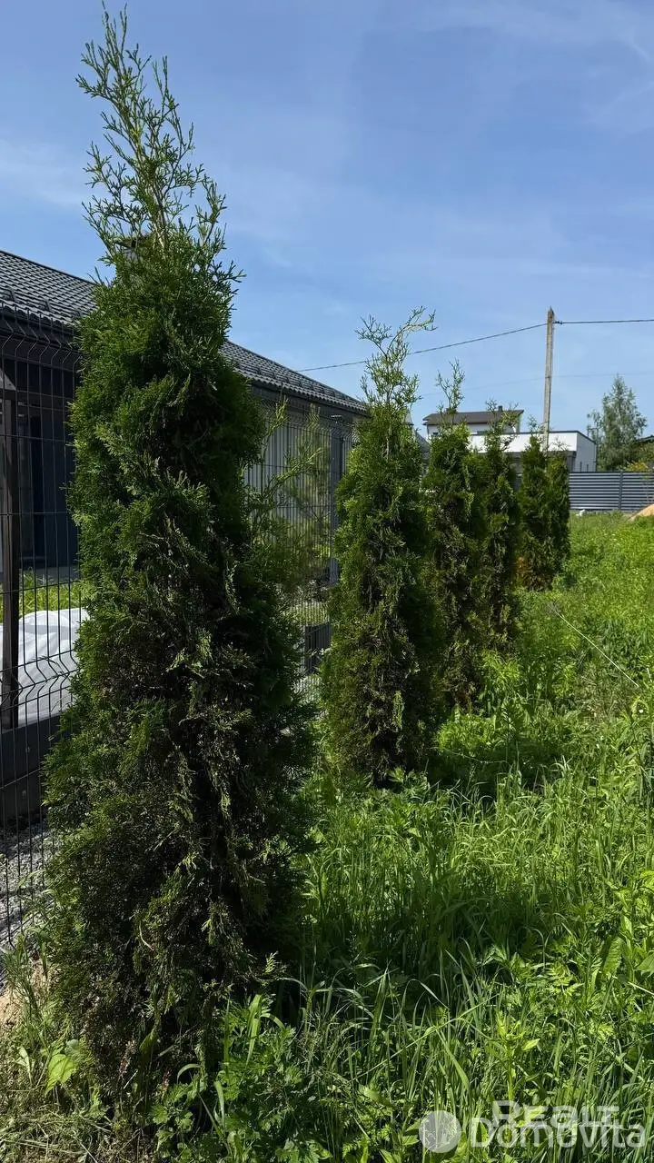 участок, Телепашня,