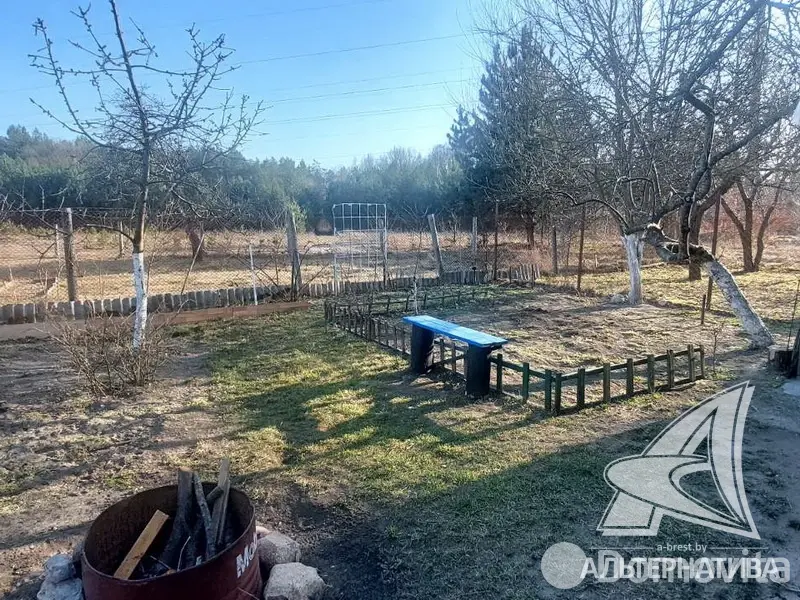 Купить 1-этажную дачу в Меркурий-89 Брестская область, 12350USD, код 185152 - фото 20