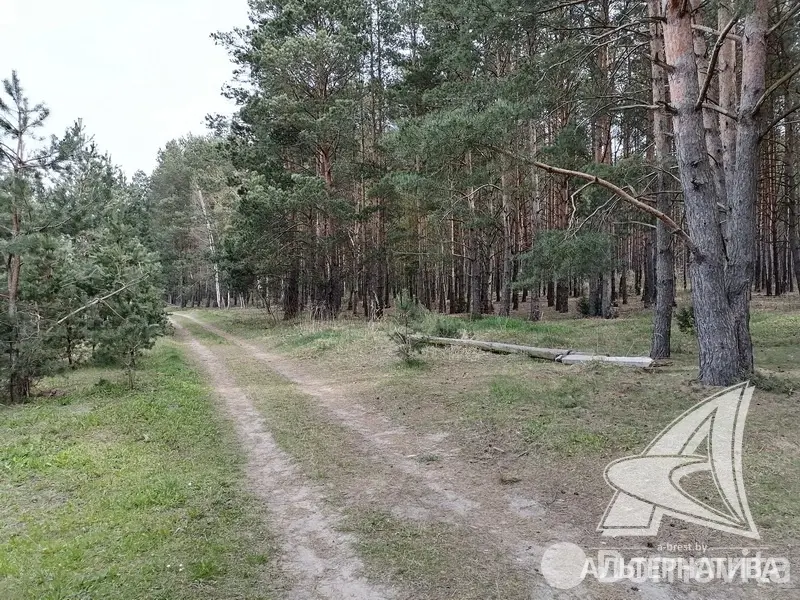 Продажа 2-этажной дачи в Леснянка Брестская область, 27000USD, код 165253 - фото 30