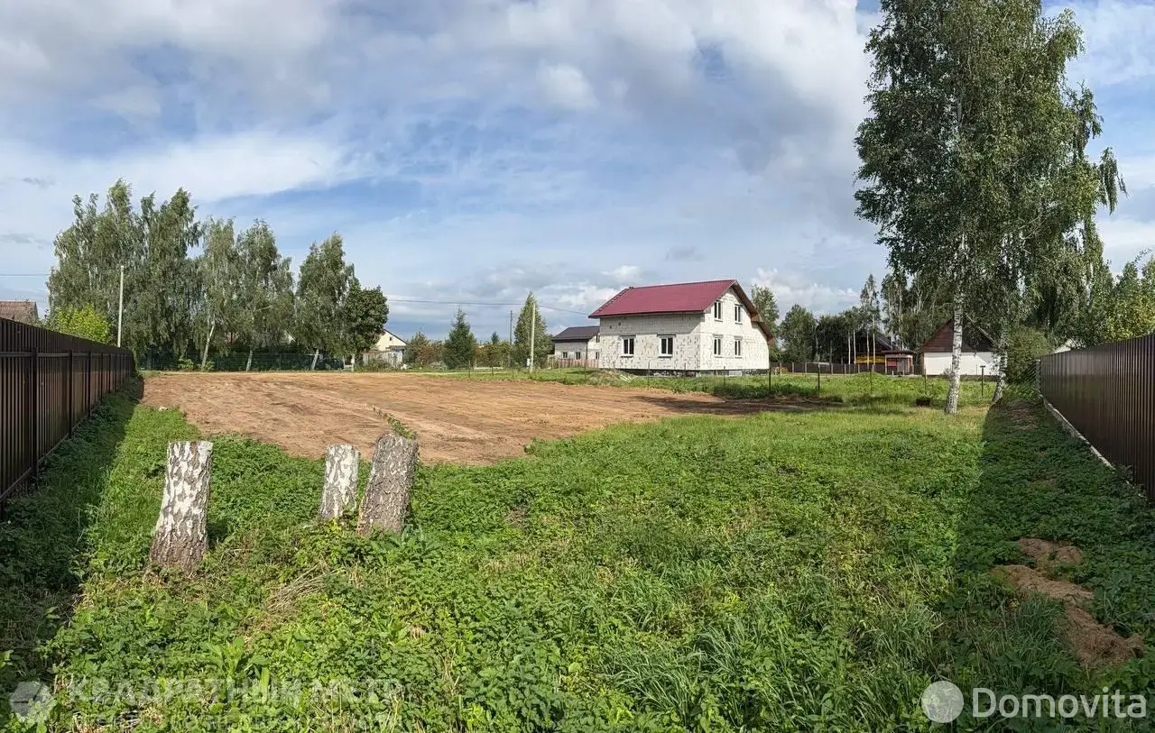 участок, Птичь, 