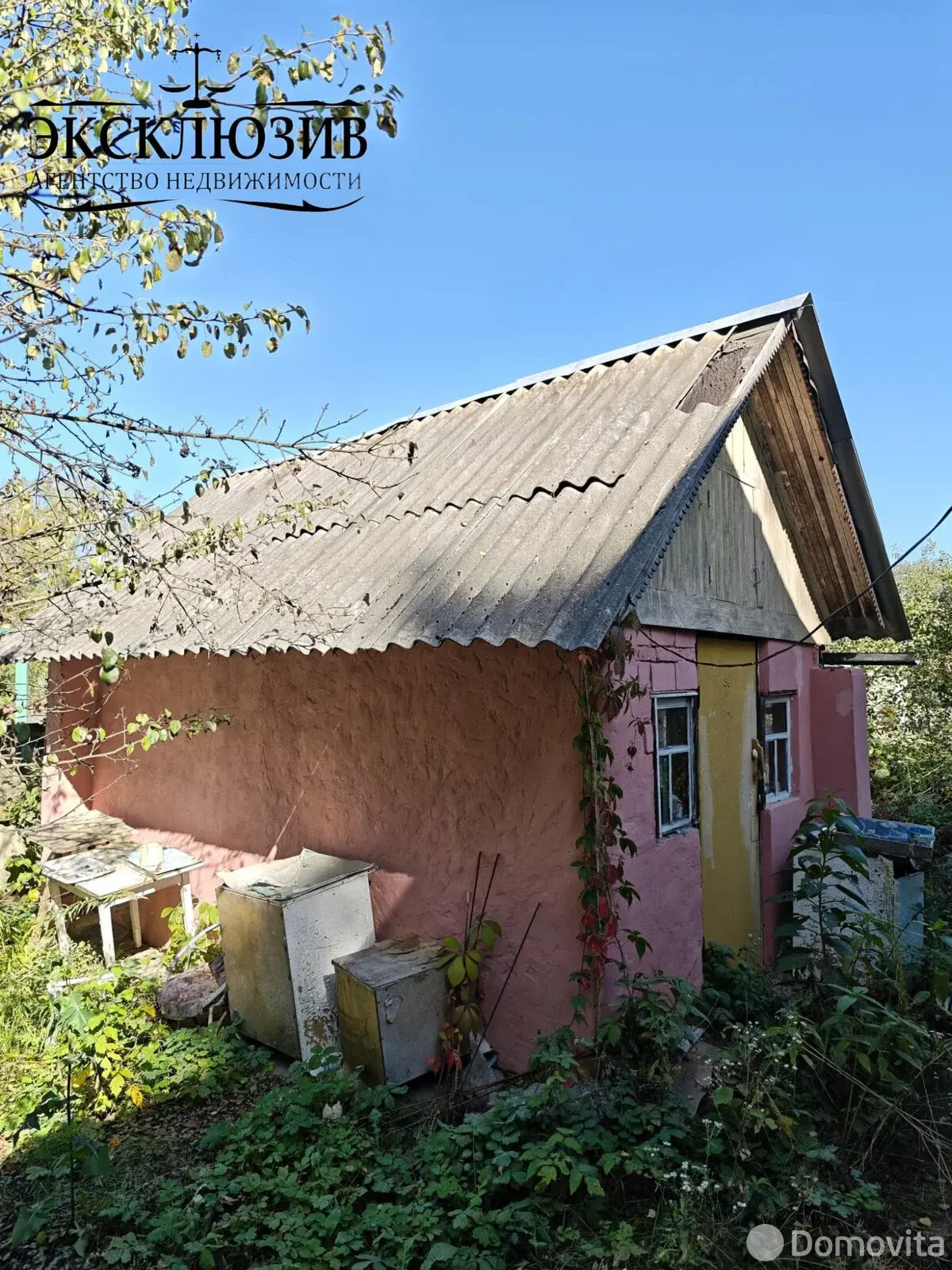Продажа 1-этажной дачи в Калинино Гомельская область, 51000BYN, код 186113 - фото 15