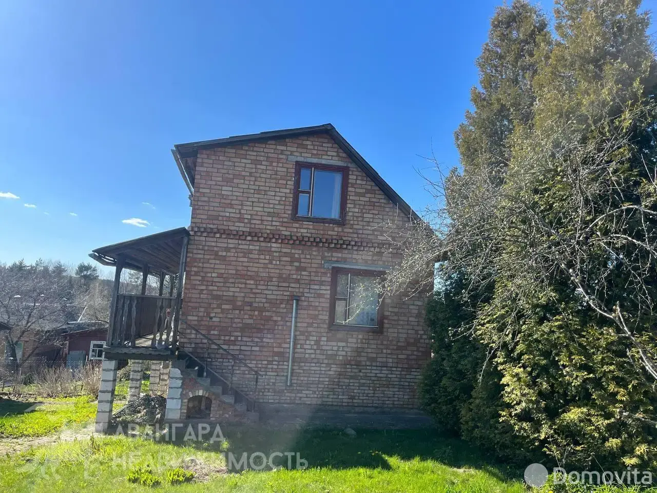 дача, Ромашка Соломореченская, 