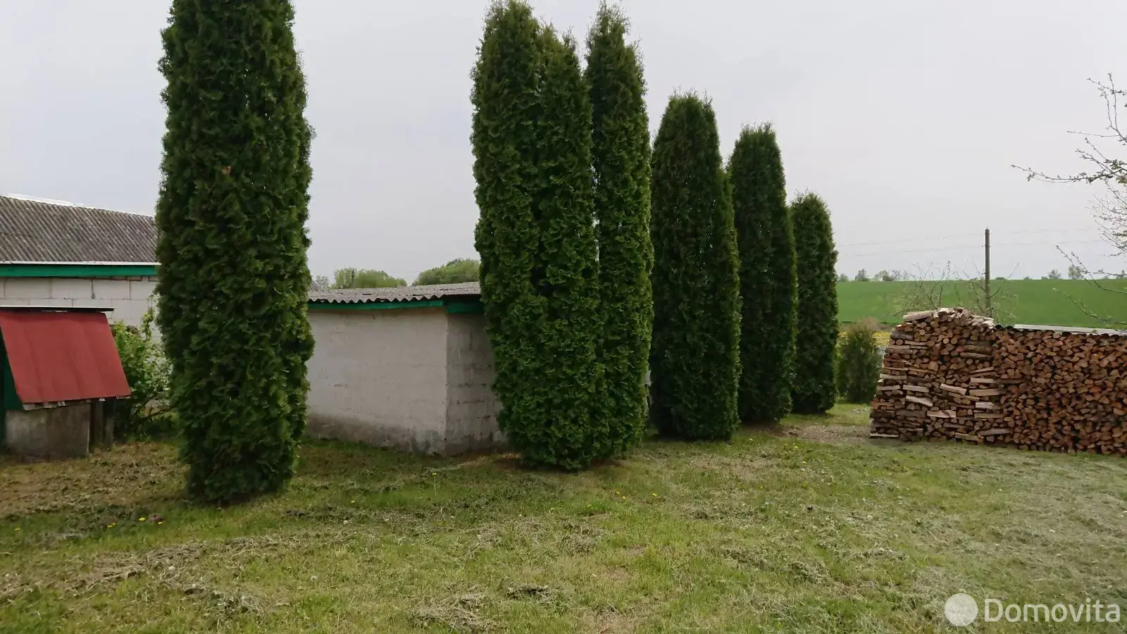 Продажа 1-этажной дачи в Головенчицах Минская область, 16000USD, код 182770 - фото 11