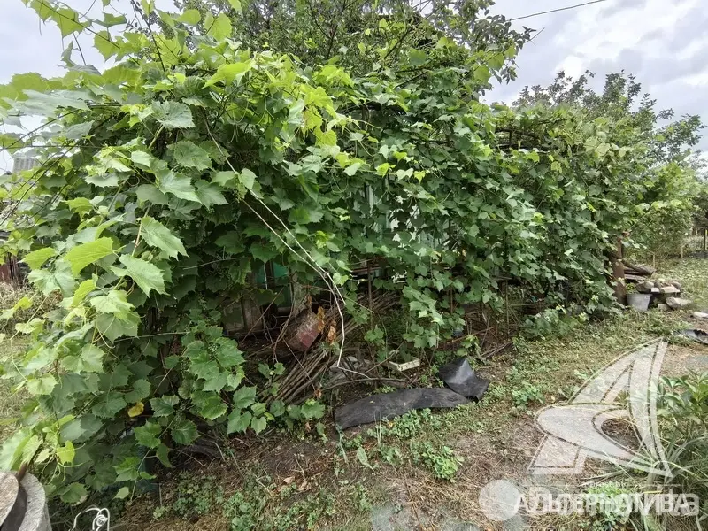 купить дачу, Леснянка,