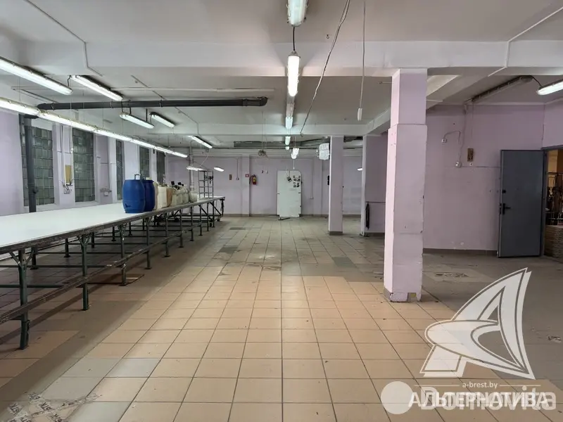 Купить помещение под сферу услуг в Бресте, - фото 4