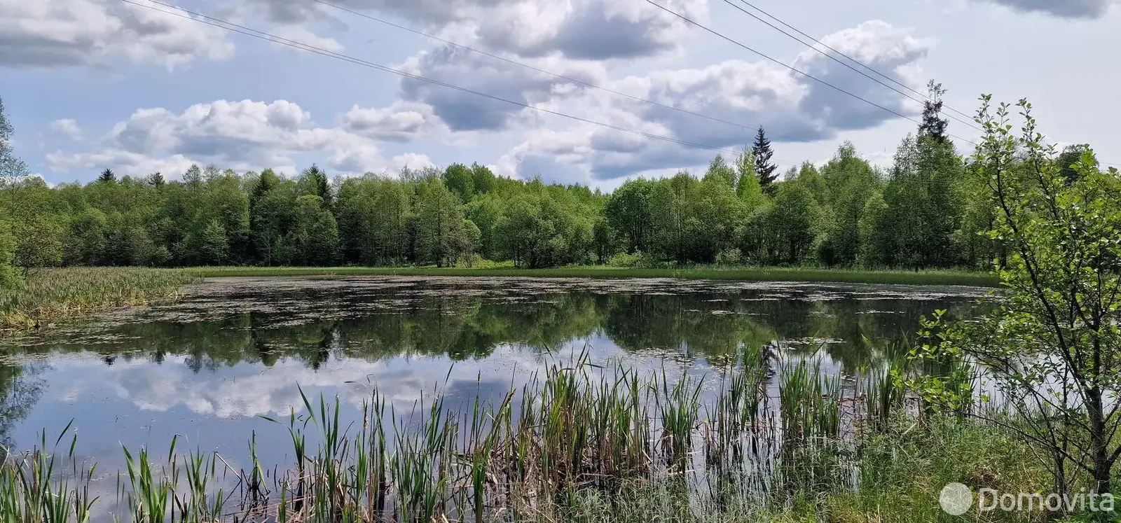 Цена продажи участка, Борщевник, д. 57