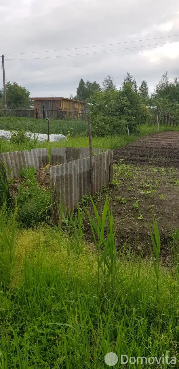 Купить земельный участок, 12 соток, Трикотаж, Витебская область, 3500USD, код 570321 - фото 18