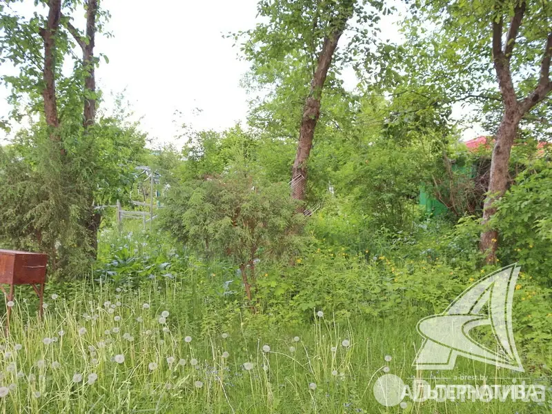 Купить 2-этажную дачу в Приозерное Брестская область, 14900USD, код 162084 - фото 20