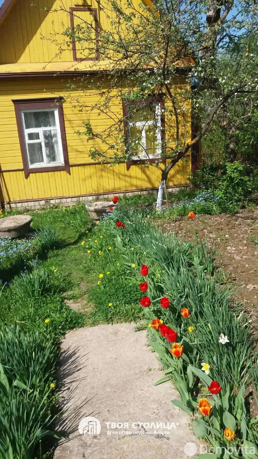 дача, Золотой колосок, - лучшее предложение