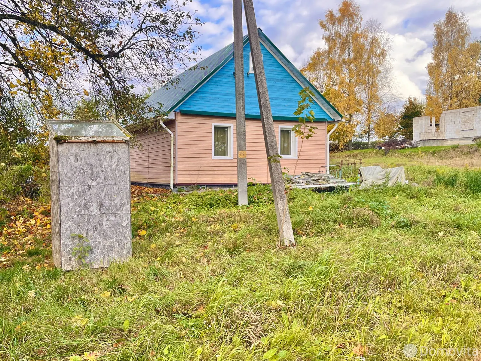 Цена продажи дома, Василевщина, 