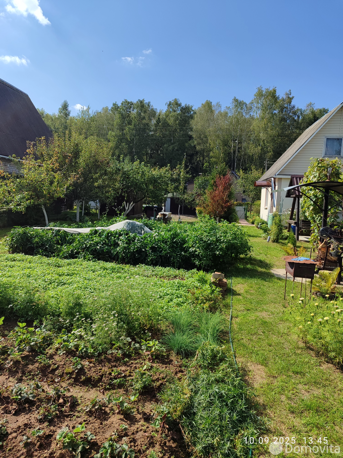 Купить 1-этажную дачу в Орше Витебская область, 8000USD, код 184312 - фото 14