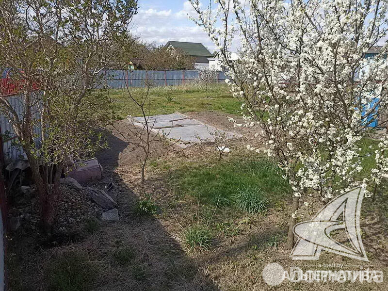 Купить земельный участок, 8.04 соток, Колос-9, Брестская область, 25000USD, код 567750 - фото 11