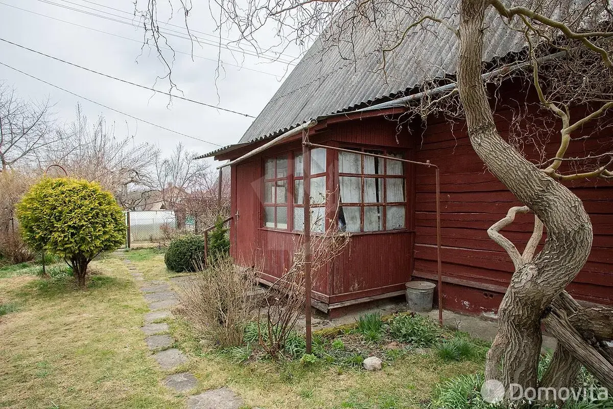 дача, Птичь, 