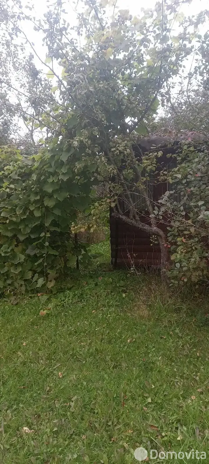 дача, Свислочь, 