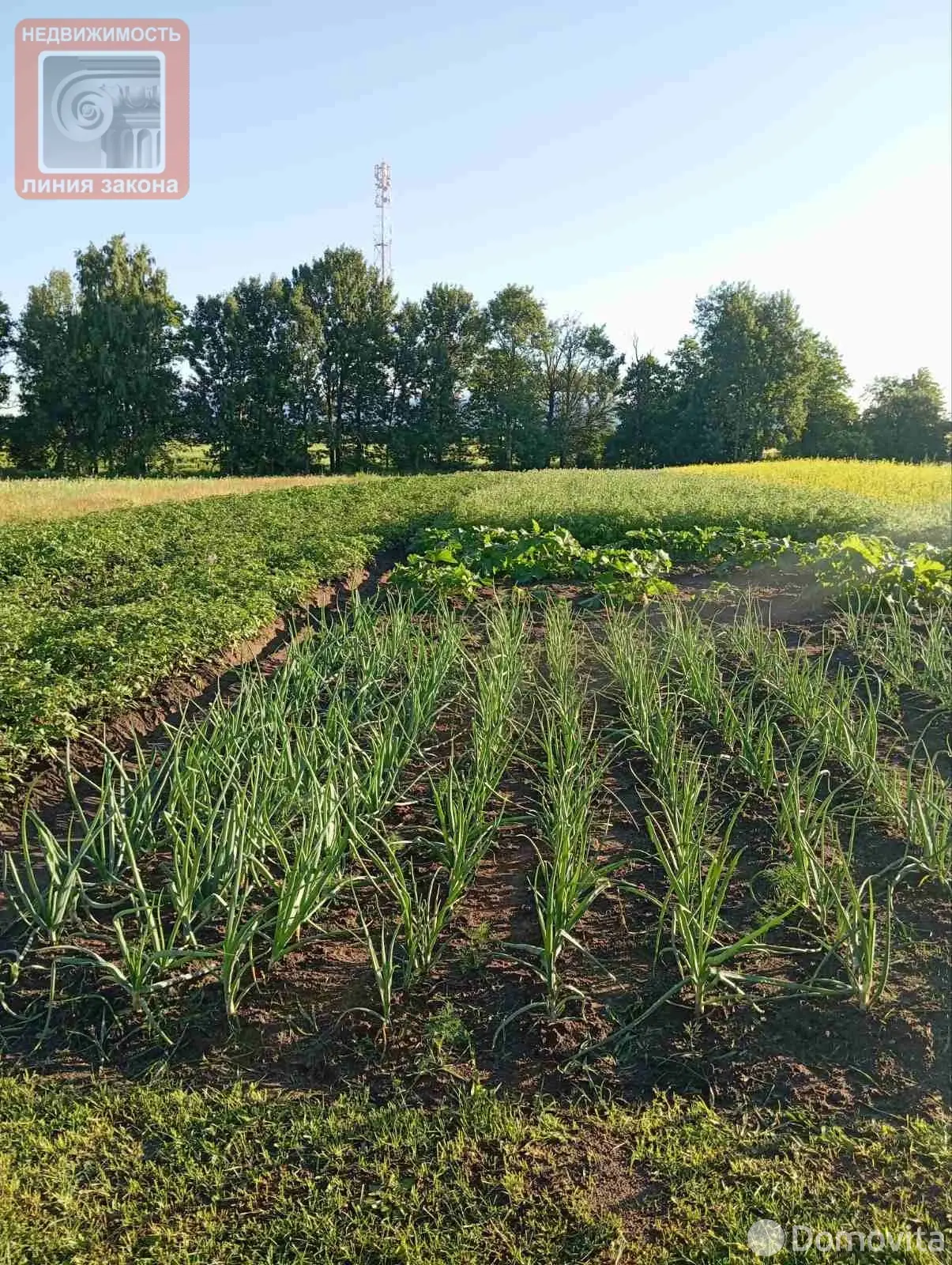 дом, Залесье, ул. Школьная 