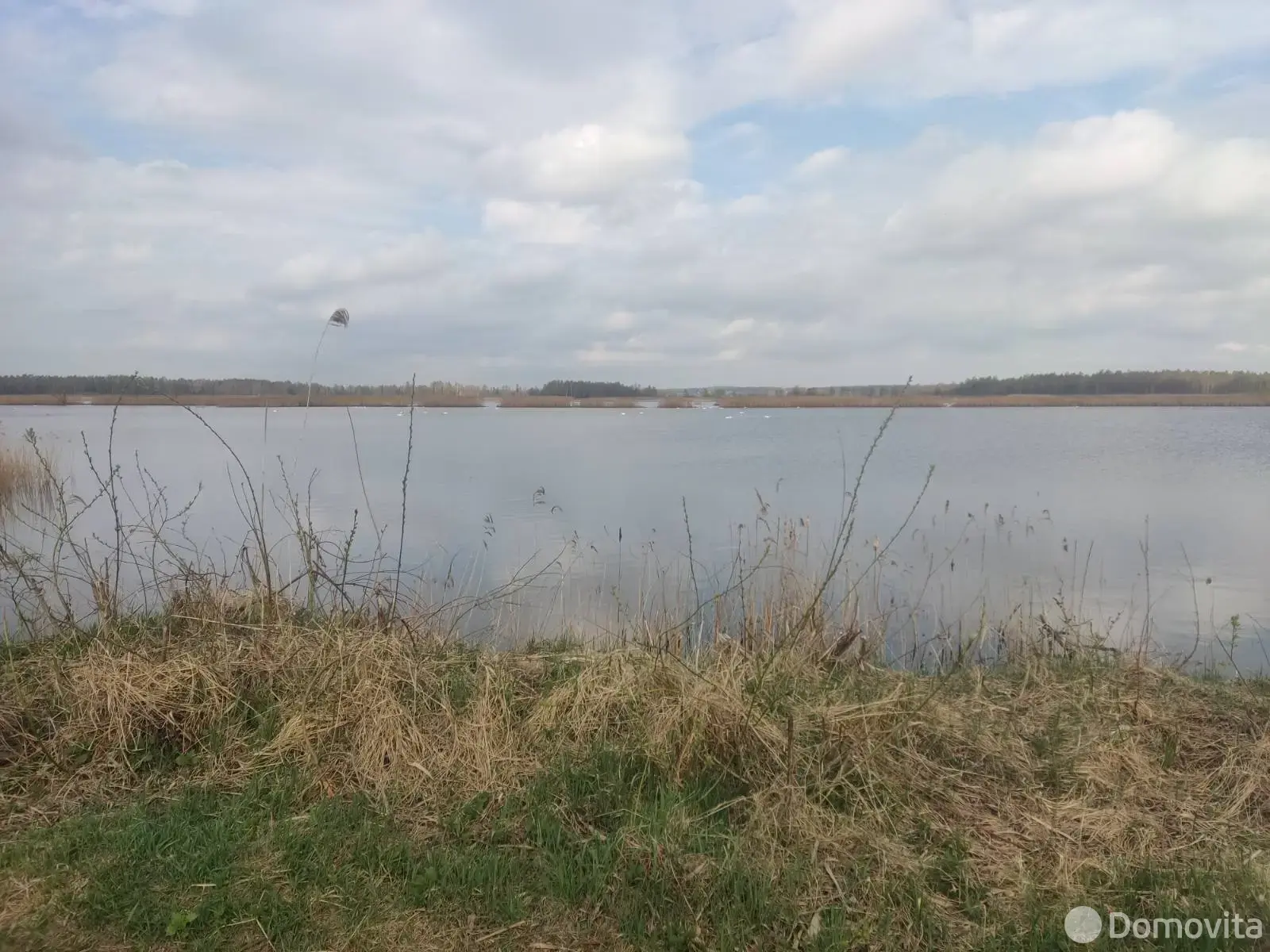 Купить 1-этажную дачу в Полочанах Минская область, 14000USD, код 185037 - фото 21