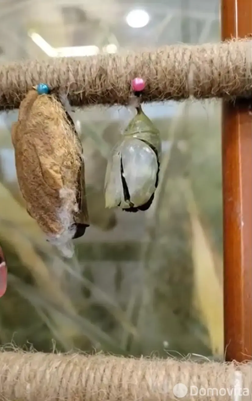 Купить помещение под сферу услуг в Минске, ул. Кирилла Туровского, д. 16 - фото 39