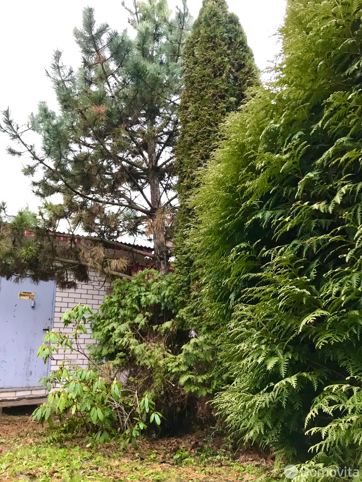 купить дачу, Петришки, 