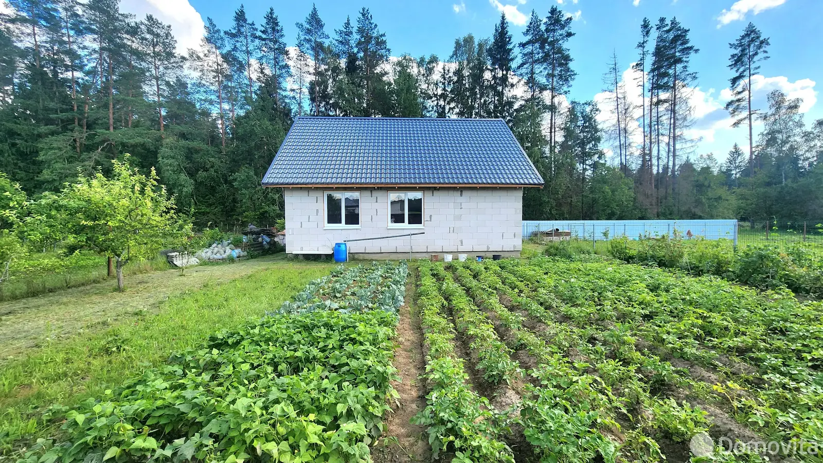 Купить земельный участок, 4.6 соток, Голубой факел, Минская область, 47000USD, код 569813 - фото 19