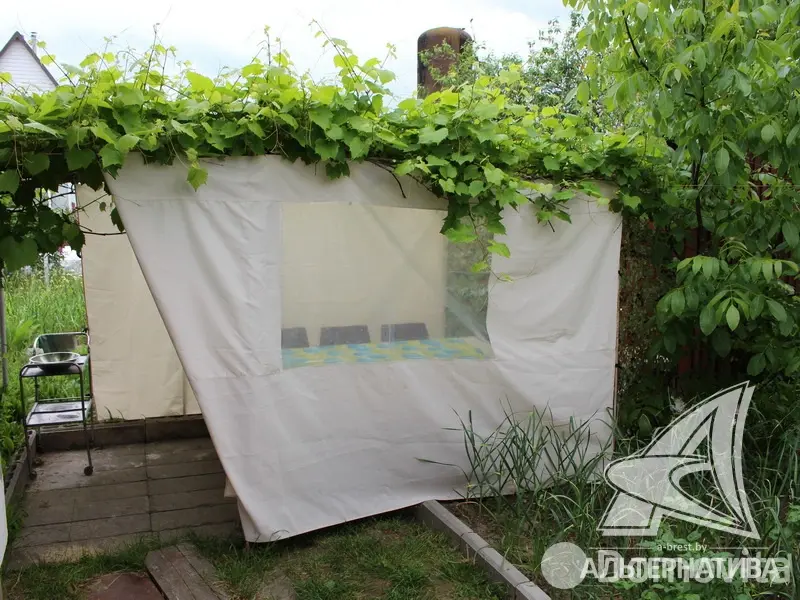 Купить земельный участок, 5.09 соток, Пралеска, Брестская область, 17800USD, код 558082 - фото 17