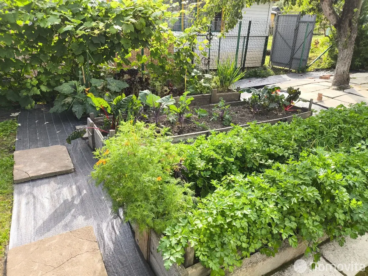 дача, Сосны-Сад, от собственника