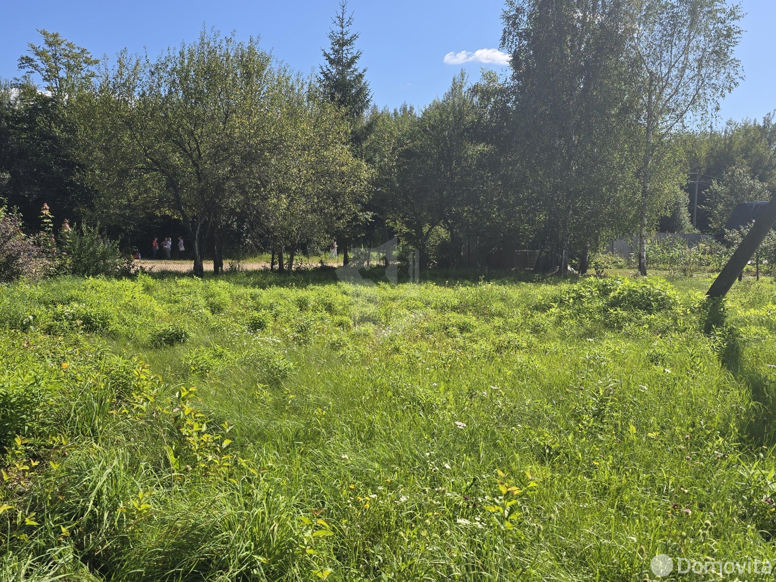 участок, Дубрава, 