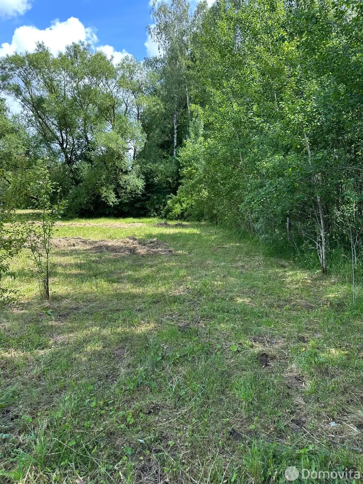 участок, Юрковичи, ул. Лесническая 